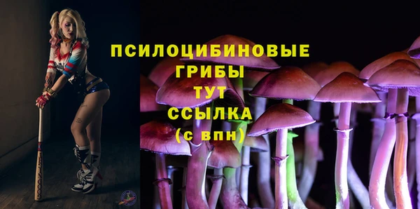 не бодяженный Володарск
