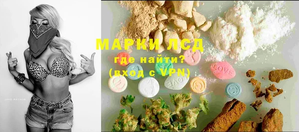 твердый Чекалин