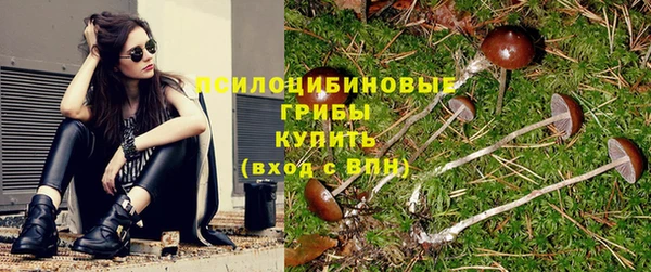 марки nbome Верхний Тагил
